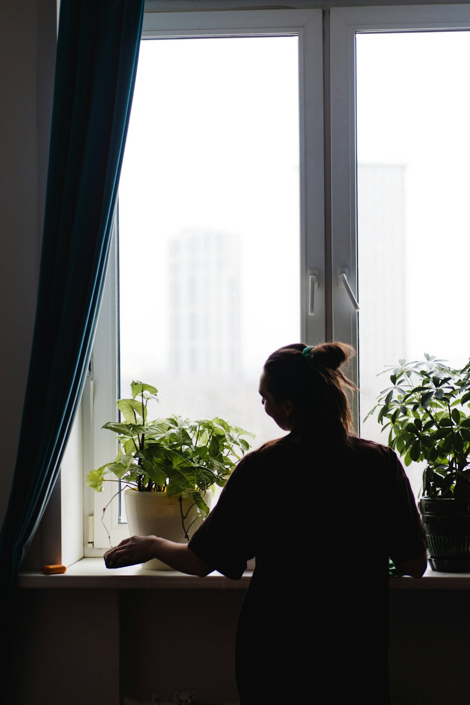 Person tending to houseplants on a windowsill.