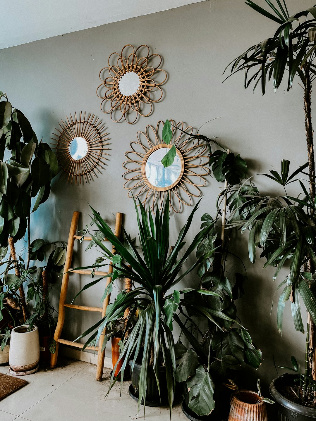 Potted plants and decorative wall mirrors in a corner room.
