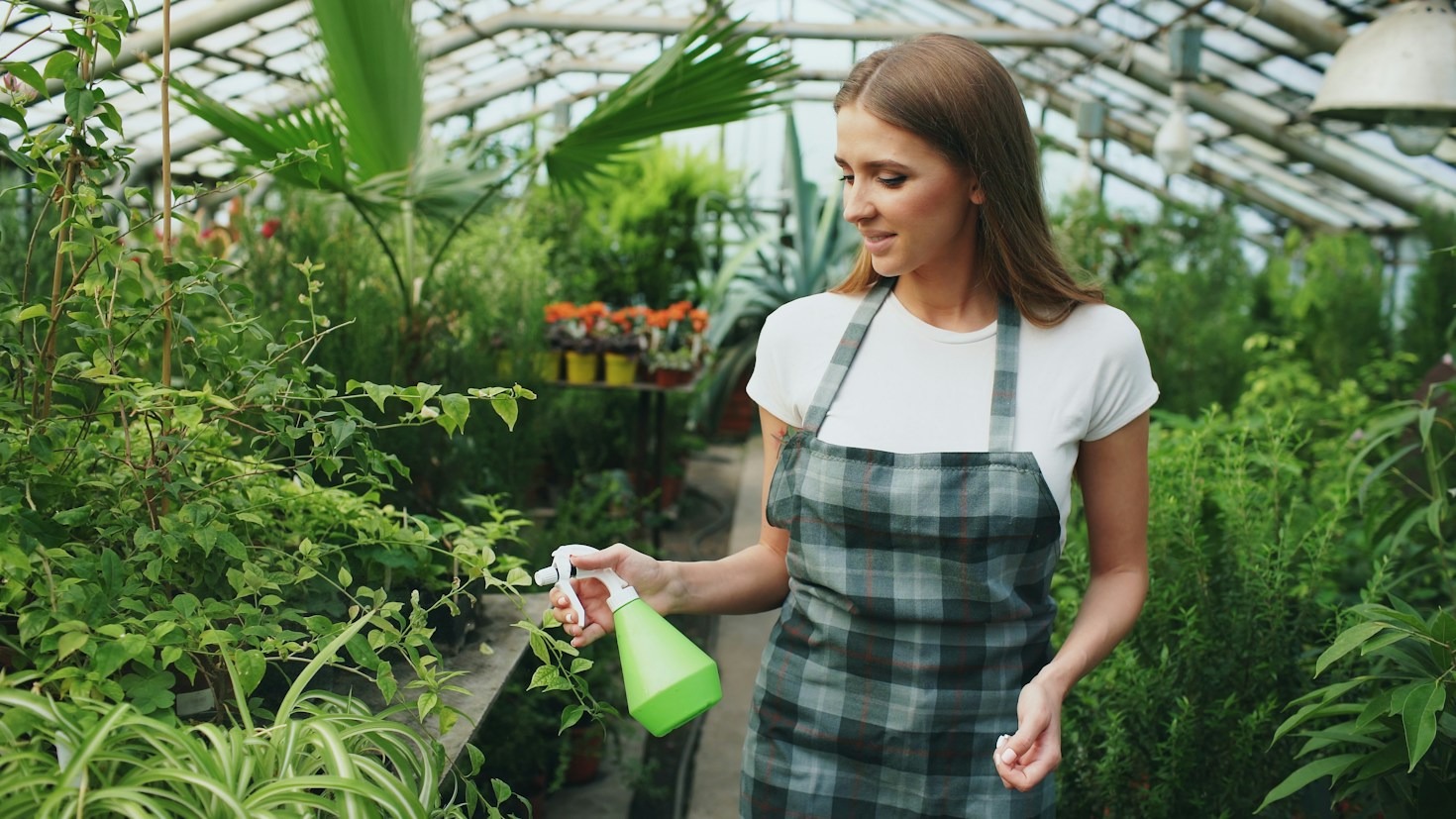 Recognizing Common Plant Pests and Banishing Them Naturally