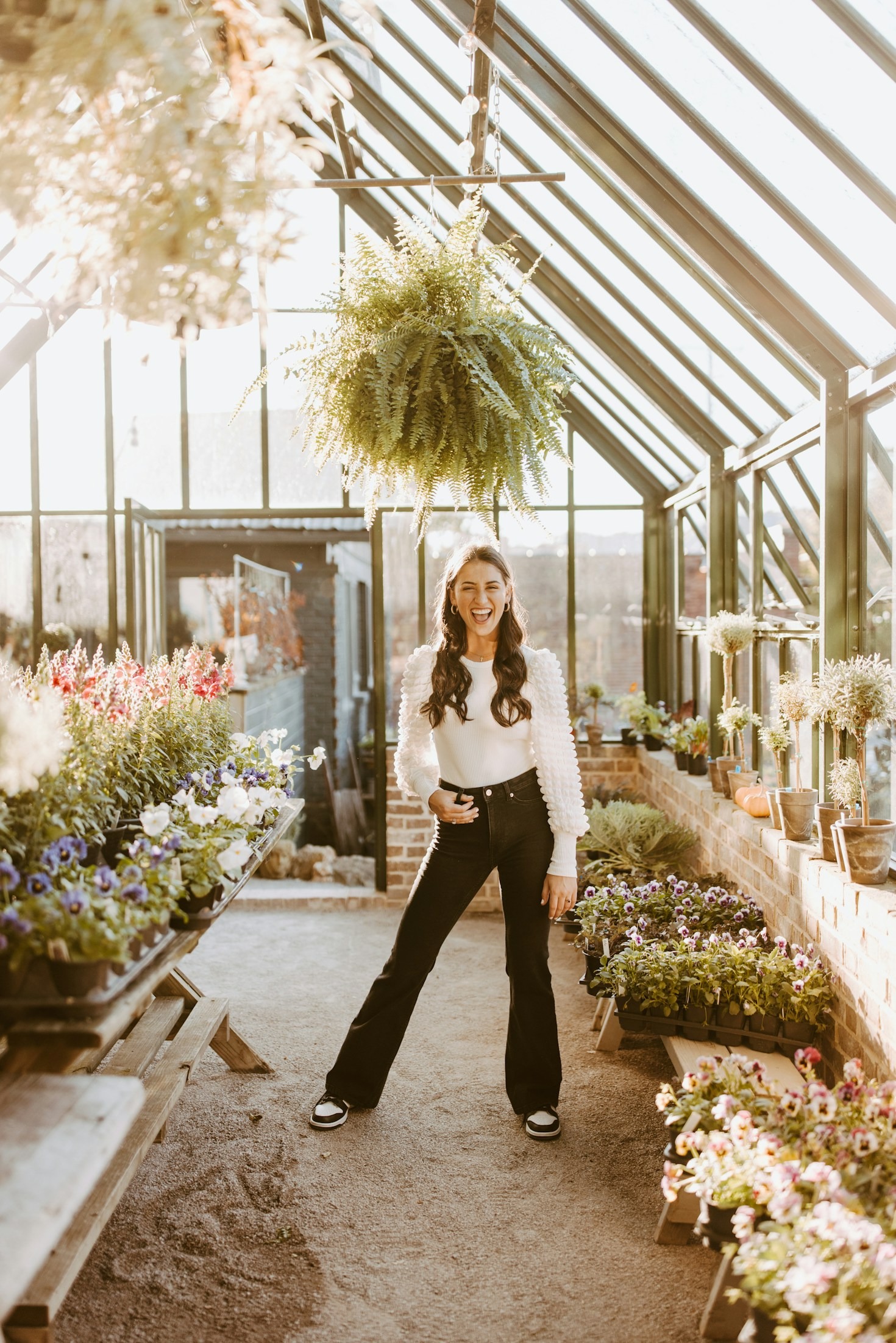 Beginner Friendly Houseplants That Are Virtually Impossible to Kill